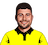 Marcus Stoinis