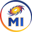 team icon