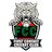 FCT Innings logo