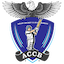 team icon