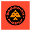 Birmingham Phoenix (Women)