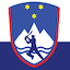 team icon
