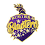 team icon