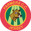 team icon