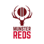 team icon