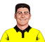 Matt Renshaw