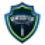 team icon