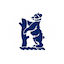 team icon