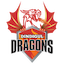 Dindigul Dragons