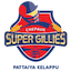 Chepauk Super Gillies
