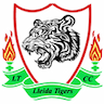 Lleida Tigers