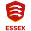 team icon