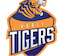 team icon