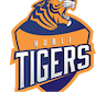 Hubli Tigers