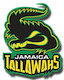 team icon