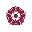 team icon