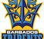 team icon