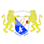 team icon