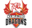 team icon