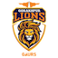 team icon