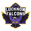 team icon