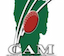 Mizoram