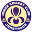 team icon