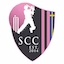 team icon