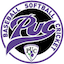 team icon