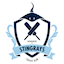 team icon