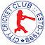 team icon