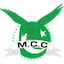 team icon
