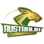 team icon