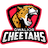 GC