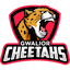 team icon
