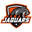 team icon