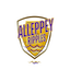 team icon