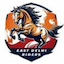 team icon