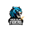 team icon
