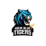 Kochi Blue Tigers