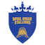team icon