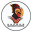 team icon