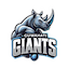 team icon