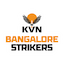 team icon