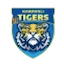 team icon