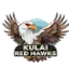 team icon