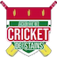 team icon
