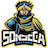  SNS Inning logo