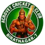 team icon