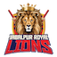 team icon